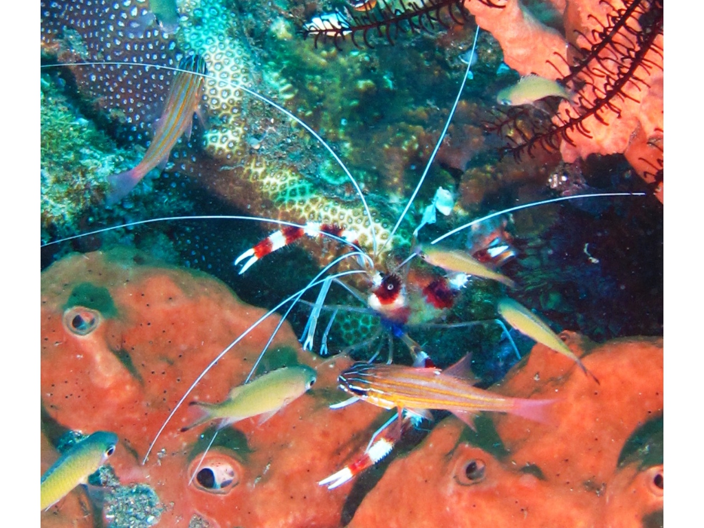 IMG_6146 - Version 2 IMG_6146 - Version 2